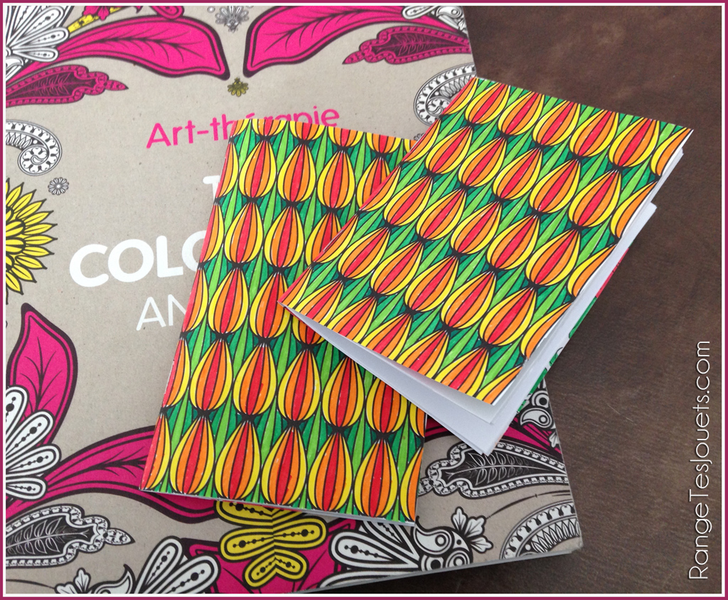 Coloriage carnet colo
