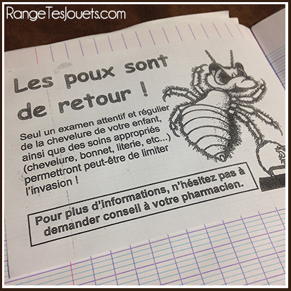 anti-poux maison-diy